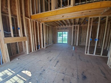 Current pics as of 7/7/2020