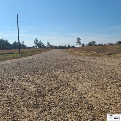 195 Simba Ln, Calhoun, LA 71225 - photo 4