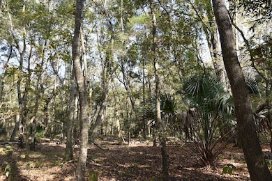 1220 SE US Highway 301 unit LotWP001, Hawthorne, FL 32640 - photo 7