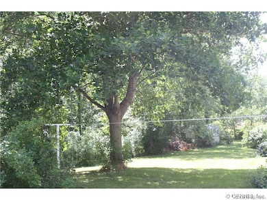 Yard.