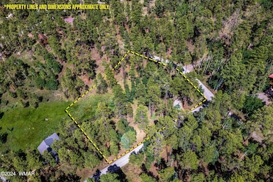 7 N1063, Greer, AZ 85927 - photo 4