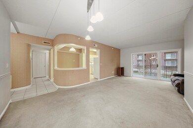 1325 Perry St unit 208, Des Plaines, IL 60016 - photo 2