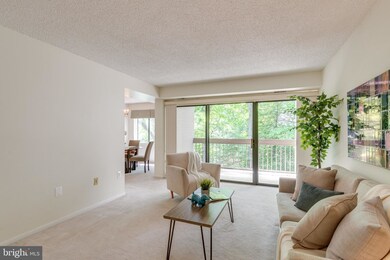 2210 Springwood Dr unit 107, Reston, VA 20191 - photo 3
