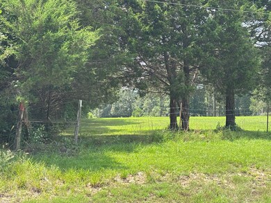 0 Ar Hwy 58 Hwy unit 25-435, Williford, AR 72482 - photo 2