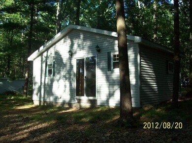 9523 N Nichols Dr, Bitely, MI 49309 - photo 5