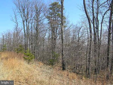 0 Grimaldi Way unit 1000568917, Gerrardstown, WV 25420 - photo 6