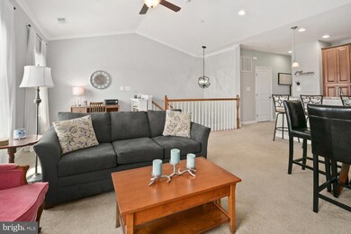 24604 Johnson Oak Terrace, Sterling, VA 20166 - photo 3