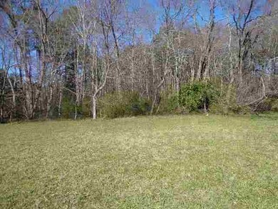 00 Crenshaw St unit & Greenville Street, Pendleton, SC 29670 - photo 4