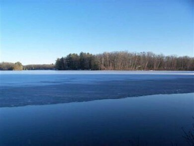 1 Island Dr, Merrill Township, MI 49309 - photo 2