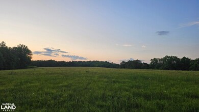 014 Tomahawk Slab Rd, Saint Joe, AR 72675 - photo 3