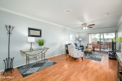 4303 E Cactus Rd unit 229, Phoenix, AZ 85032 - photo 3