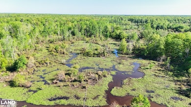 0 Daniel Glover Rd, Lonoke, AR 72086 - photo 2