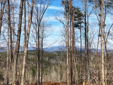 0 Hardin Store Rd unit 3694748, Rutherfordton, NC 28139 - photo 3