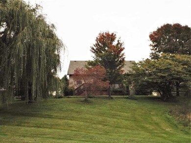 Great Back Yard