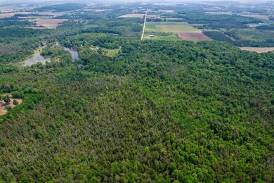 E5254 E Circle j Rd, Marion, WI 54950 - photo 5