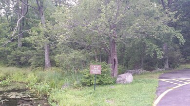 118 Broadmoor Dr, Blooming Grove Township, PA 18428 - photo 4