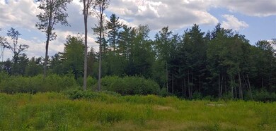 00 Deer Run Ln unit 9, Walpole, NH 03608 - photo 4