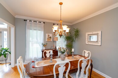 4902meadowtrace-15