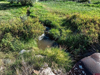 Lot 2A Bull Mesa Rd, Cedaredge, CO 81413 - photo 5