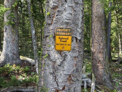 South Star Quartz Hill Rd, Wise River, MT 59762 - photo 2