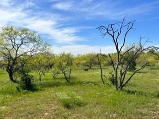 63 County Road 129, Brownwood, TX 76801 - photo 4