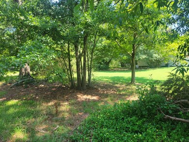 EXTRA LOT VIEW FROM HOUSE