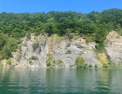 0 Off Morris Run Rt-41, Spafford, NY 13077 - photo 3