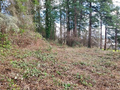 0 Jackson Hwy unit 1739522, Chehalis, WA 98532 - photo 6