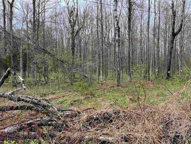 0 Lawrence Rd unit 51016, Moira, NY 12957 - photo 7