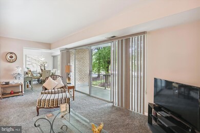 2501 Baltimore Rd unit 4, Rockville, MD 20853 - photo 5