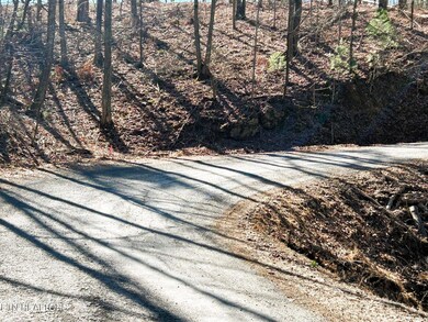 107 Chestnut Mountain Rd, Reliance, TN 37369 - photo 5