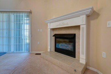 Sandy Creek Fleig (2)