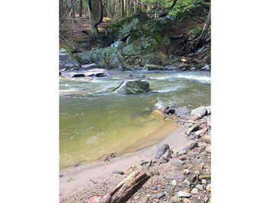 71 Allen Irish Rd unit 2, Underhill, VT 05489 - photo 5