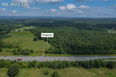 0 S Highway 365 unit 10006827, Mount Airy, GA 30563 - photo 5
