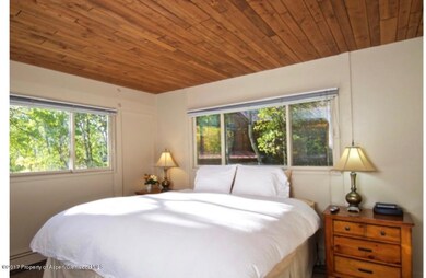 118 E Lupine Dr, Aspen, CO 81611 - photo 3