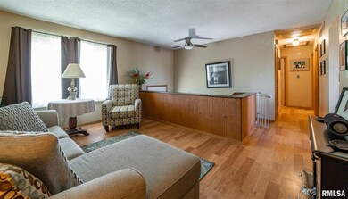 220 Heritage Ave, Lincoln, IL 62656 - photo 4