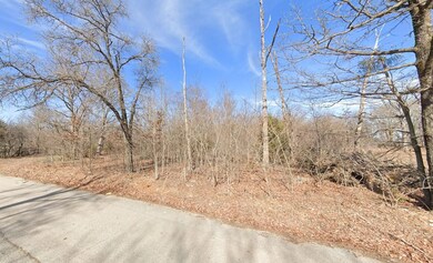 0 David Hall Blvd unit Eucha OK 74342, Eucha, OK 74342 - photo 4