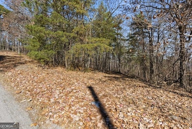 1166 Hunter Dr, Ranger, GA 30734 - photo 3