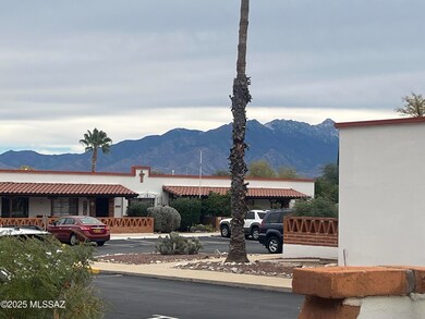 136 W Camino Alameda unit B, Green Valley, AZ 85614 - photo 5