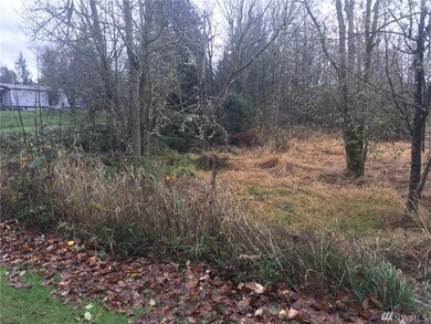 18017 158th Ave SE, Yelm, WA 98597 - photo 4