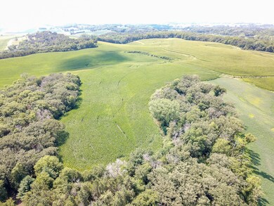 DJI_0010