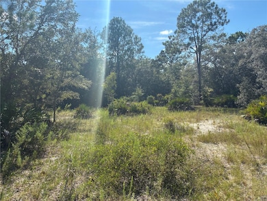 0 SW South Wind Ct unit MFROM709010, Dunnellon, FL 34431 - photo 5
