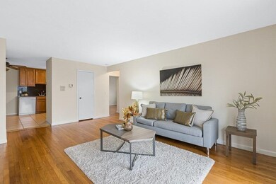 75 Waldemar Ave unit 203, Boston, MA 02128 - photo 2