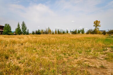 716 Palisade Trail, Driggs, ID 83422 - photo 6