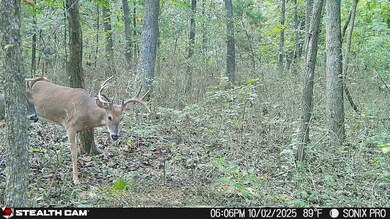 TBD Lake Francis Rd, Summers, AR 72769 - photo 7