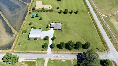 2661 Connie Rd, Iota, LA 70543 - photo 2