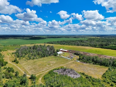 17430 280th St, Sebeka, MN 56477 - photo 5