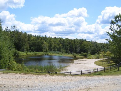 Becket Woods - swimming