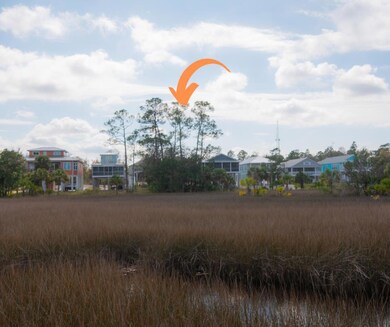 00 SW 279th Ave, Steinhatchee, FL 32359 - photo 4