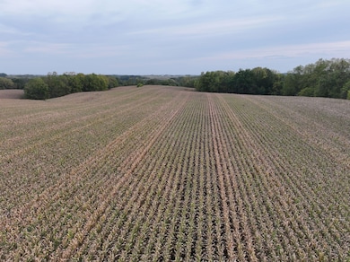 0 Fox Rd, Fayette, IA 52142 - photo 7